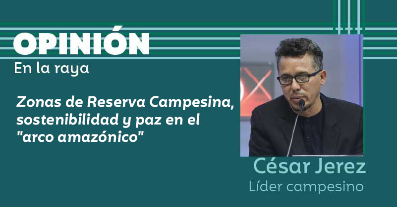 Zonas de Reserva Campesina, sostenibilidad y paz en el "arco amazónico"