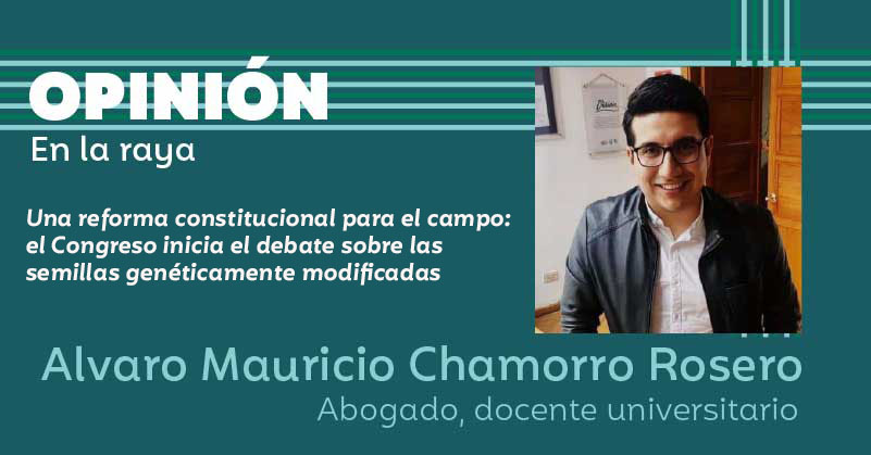 Una reforma constitucional para el campo: el Congreso inicia el debate sobre las semillas genéticamente modificadas