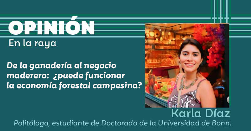 De la ganadería al negocio maderero: ¿puede funcionar la economía forestal campesina?