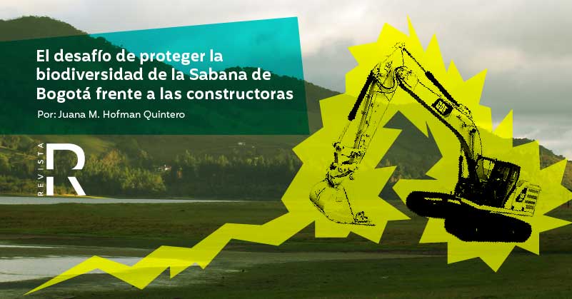 El desafío de proteger la biodiversidad de la Sabana de Bogotá frente a las constructoras