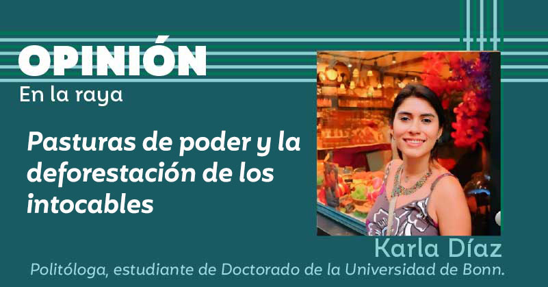 Pasturas de poder y la deforestación de los intocables
