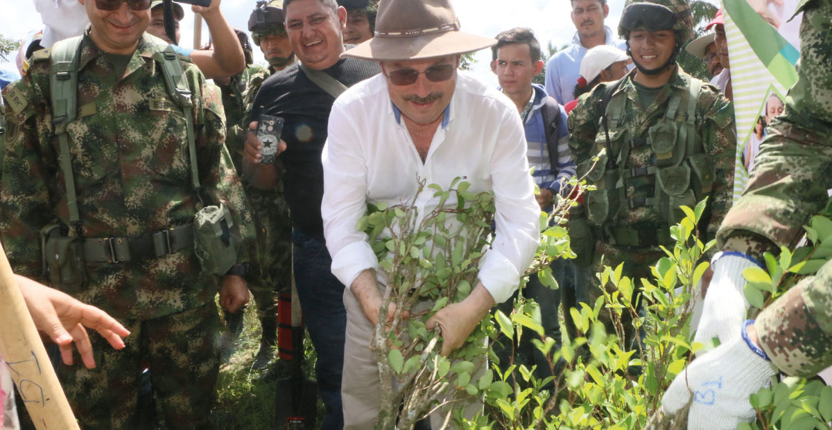 Arauca cultivos