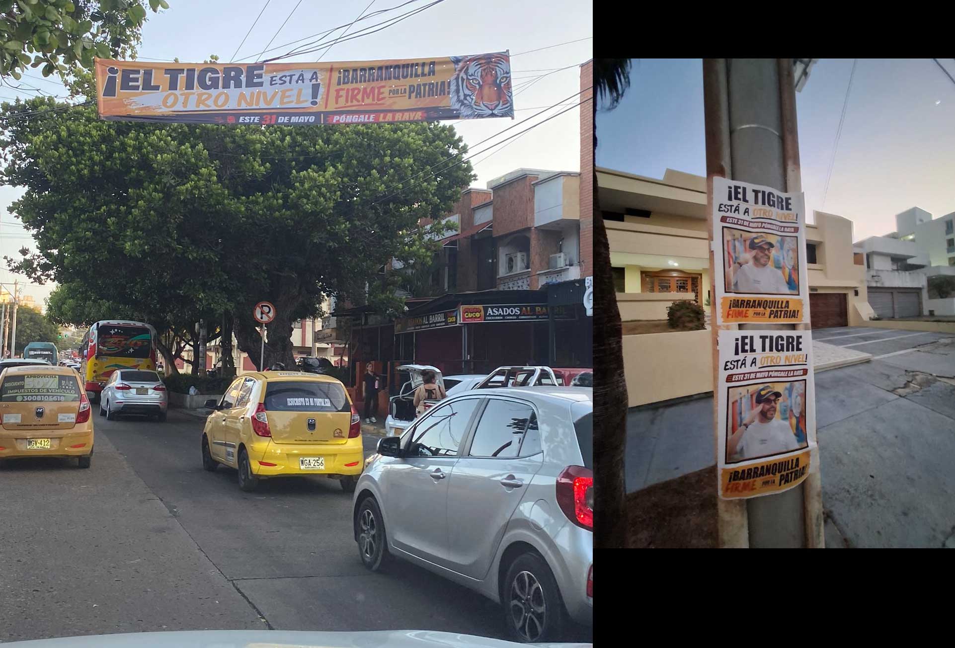 facsimil tigre 2