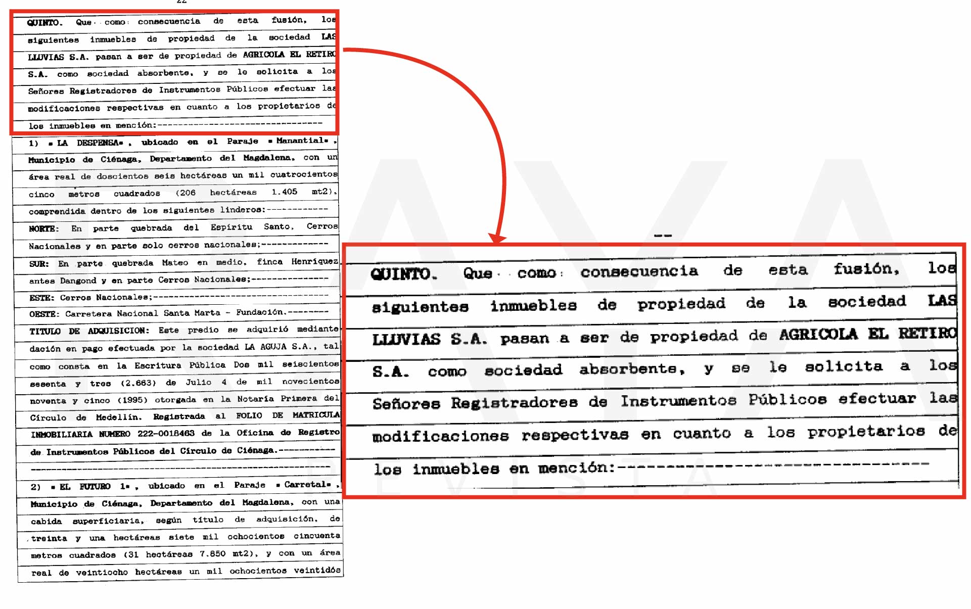 facsimil chiquita 7