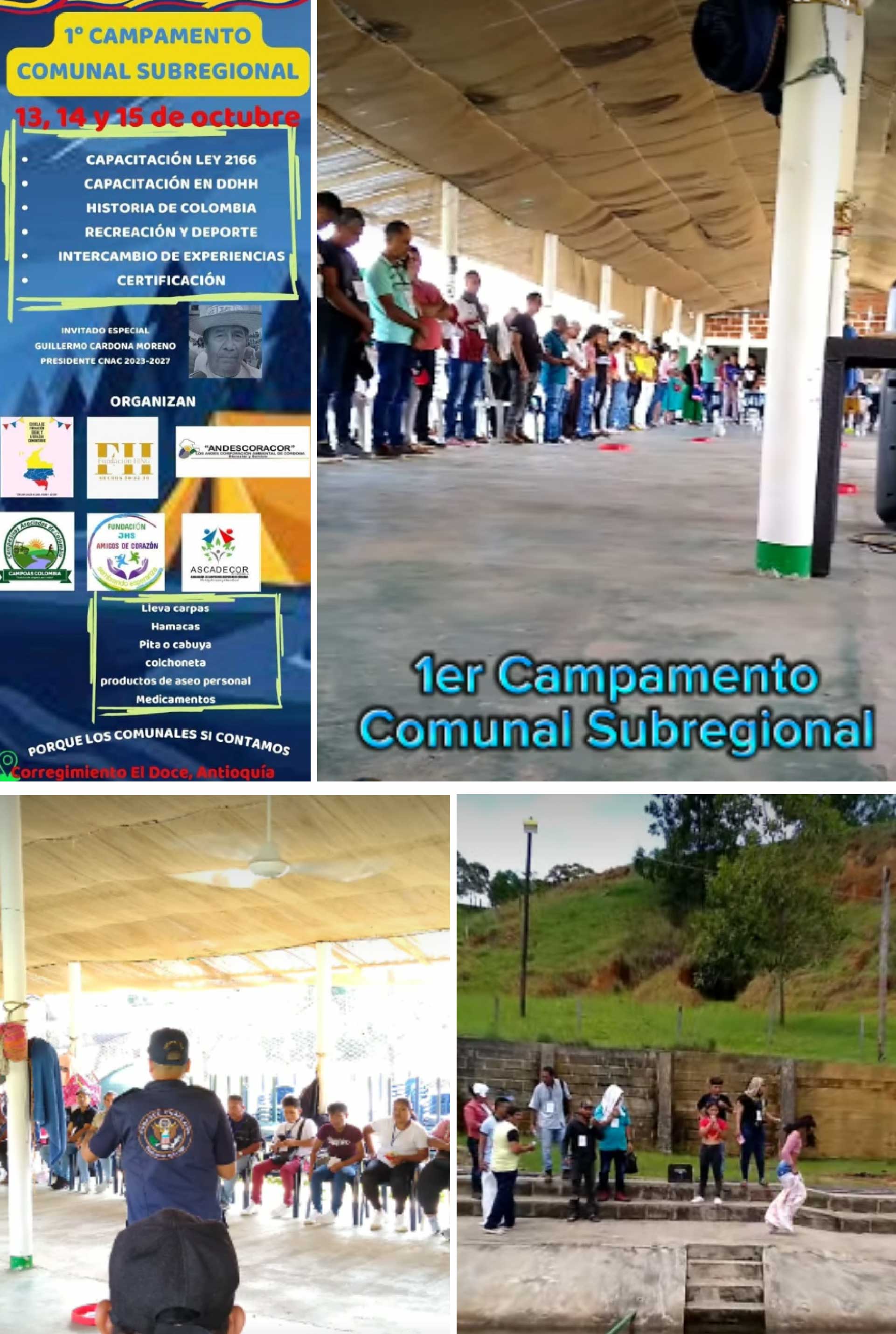 Clan facsimil tia 6