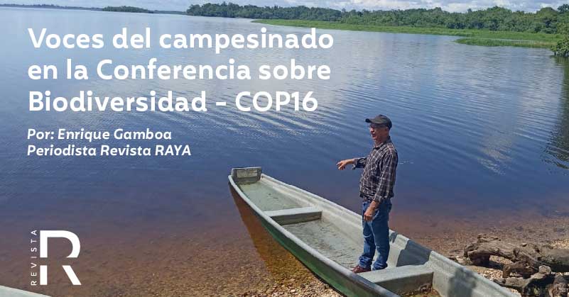Voces del campesinado en la Conferencia sobre Biodiversidad - COP16