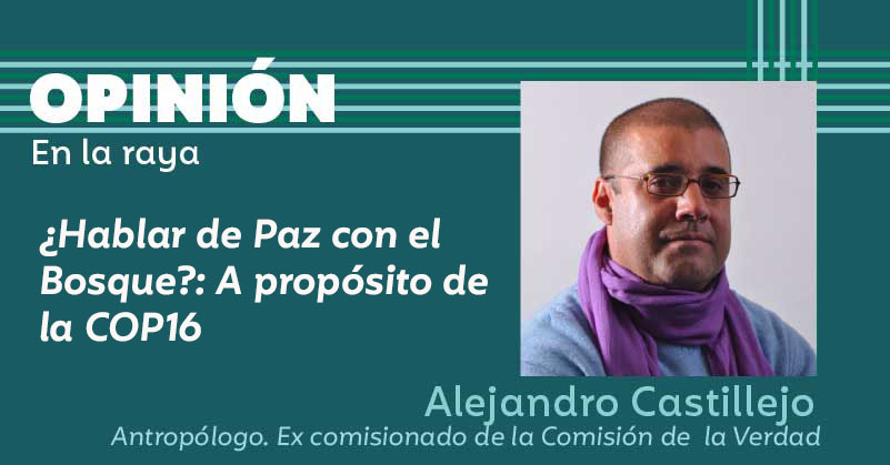 ¿Hablar de Paz con el Bosque?: A propósito de la COP16