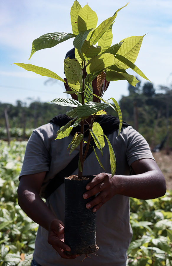 Chimbuza foto1