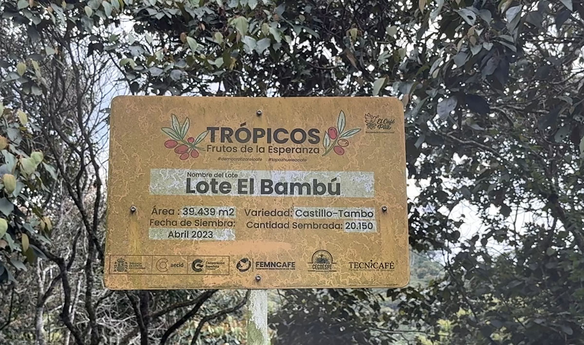 Tropicos 3091